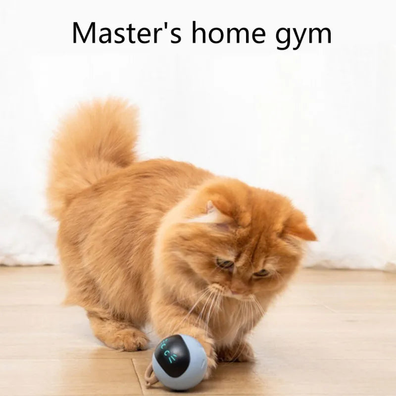 ZoomieBall™ Automatic LED Cat Toy – USB Rechargeable Interactive Ball