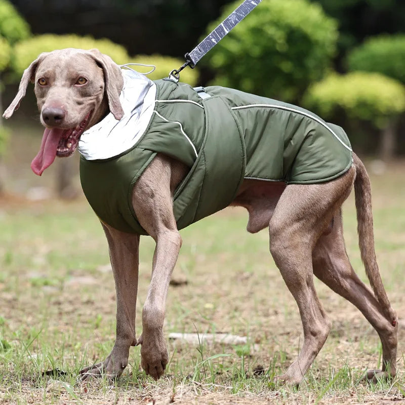 FrostPaw™ Waterproof Reflective Winter Dog Jacket