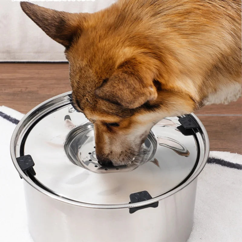 HydraGuard™ Stainless Steel No-Spill Dog Water Bowl