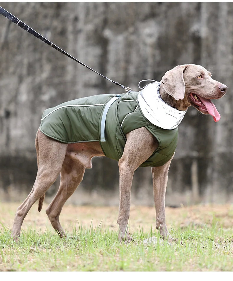 FrostPaw™ Waterproof Reflective Winter Dog Jacket