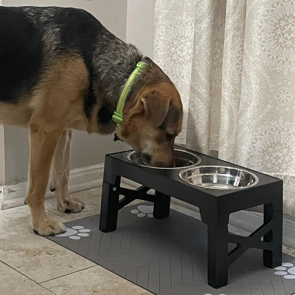ElevaBowl™ Adjustable Elevated Dog Feeder with Stainless Steel Bowls